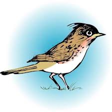 the-lark-in-the-morning